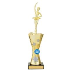 Ballet Wayfare Trophy 295mm