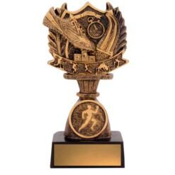 T&F Budget Shield (3 Sizes)