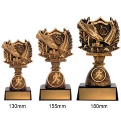Alternative view of T&F Budget Shield (3 Sizes)