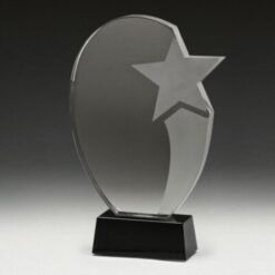 Recognition Star Award