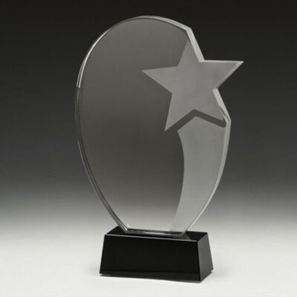 Recognition Star Award
