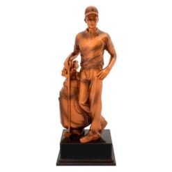 Bronze Golf Trophy Male 255mm