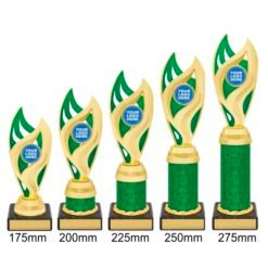 Alternative view of Vision Cup - Green/Gold (5 Sizes)