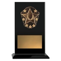 Cosmos Glass Star