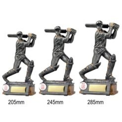 Alternative view of Cricket Batsman 3 Sizes