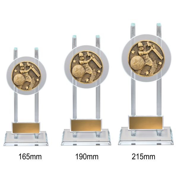 Cricket Batting Spartan Glass (3 Sizes) - Image 2