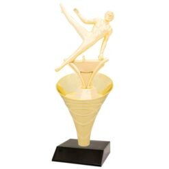 Gymnastic Male Trophy 285mm