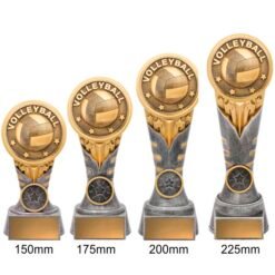Alternative view of IKON - Volleyball (4 Sizes)