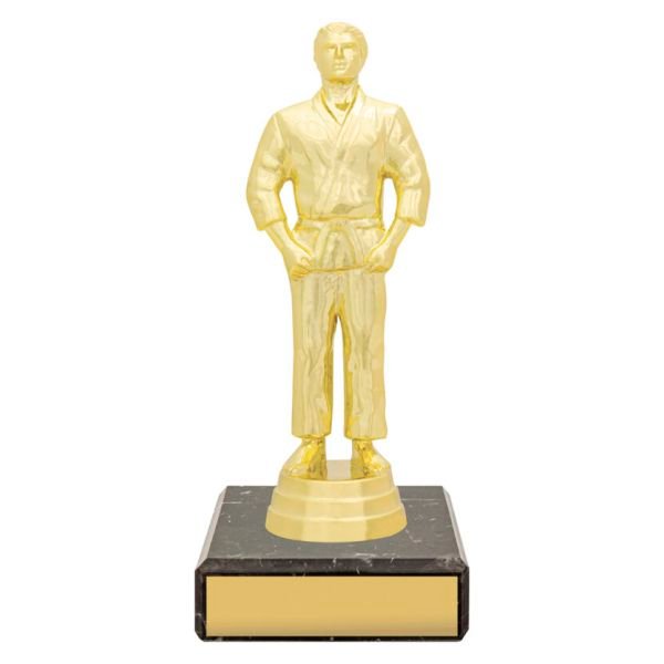 Male Judo Trophy 145mm