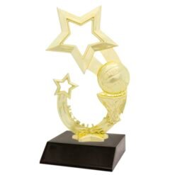 Netball Rising Star Trophy 175mm