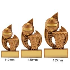 Alternative view of Netball Pulse Trophy (3 Sizes)