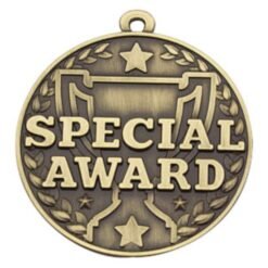 Special Award Gold Medal