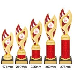 Alternative view of Vision Cup - Red/Gold (5 Sizes)