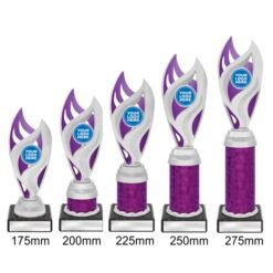 Alternative view of Vision Cup - Silver/Purple (5 Sizes)